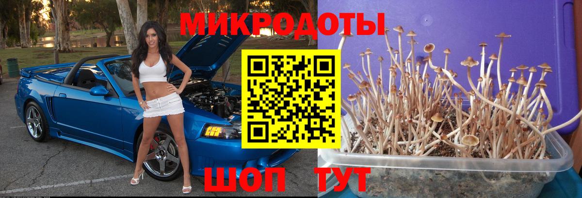 Псилоцибиновые грибы GOLDEN TEACHER Белорецк